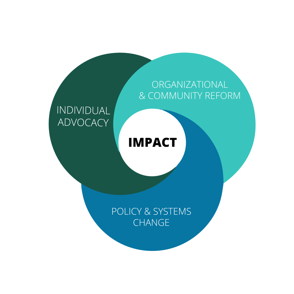 Three circles labeled individual advocacy, organizational and community reform, and policy and systems change, all overlapping a center circle labeled impact.